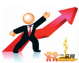 净收入 纯收入(2)