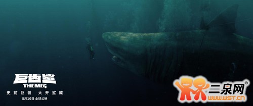 巨齿鲨bd